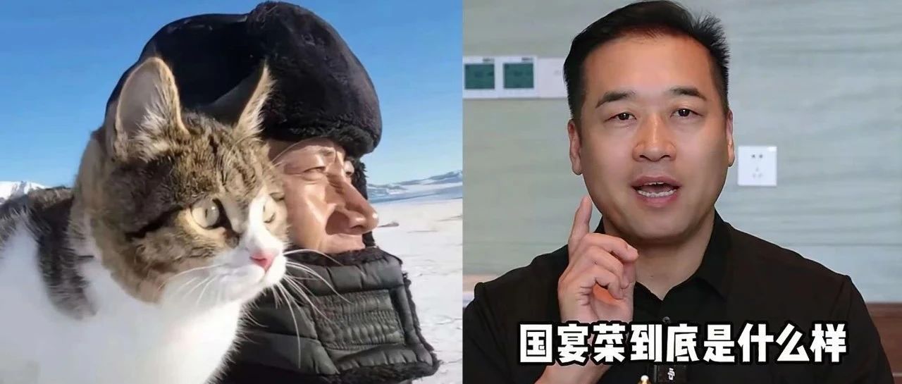“特厨隋坡”重新起号，20天全网涨粉超223万；百万网友纪念小猫悟空 | 涨粉周榜